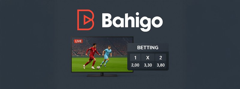 Learn about online casino bahigo